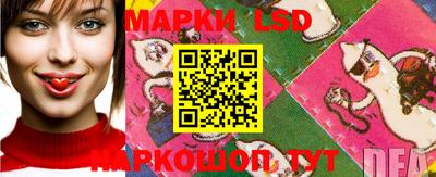 наркотики Сланцы